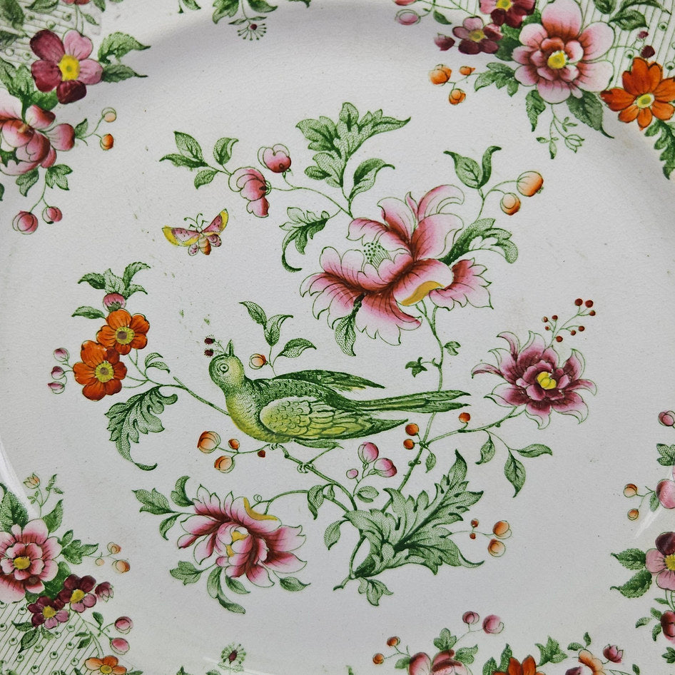 Underside of British Tambourine plate showing pattern mark