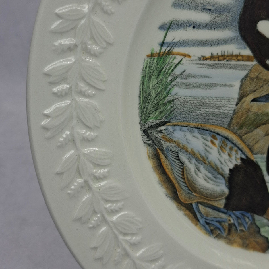 Adams England Birds of America Canvas Back Duck Display Plate