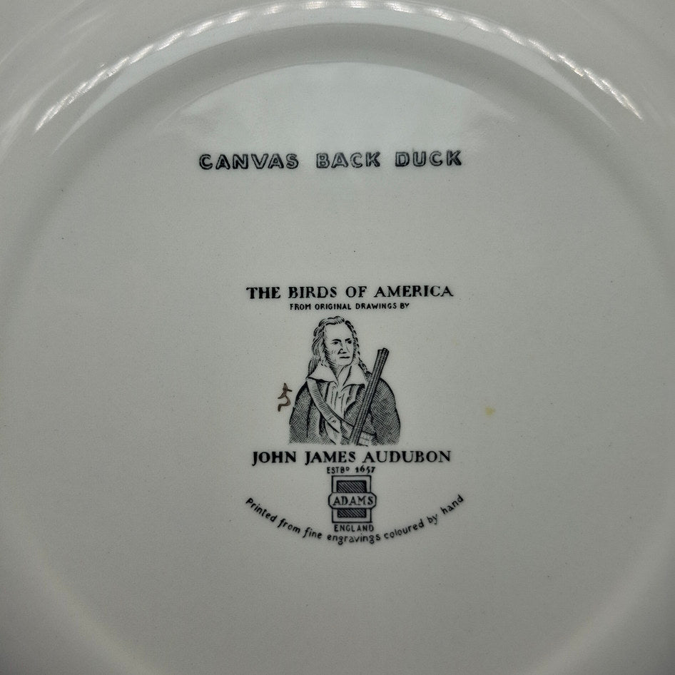 Adams England Birds of America Canvas Back Duck Display Plate