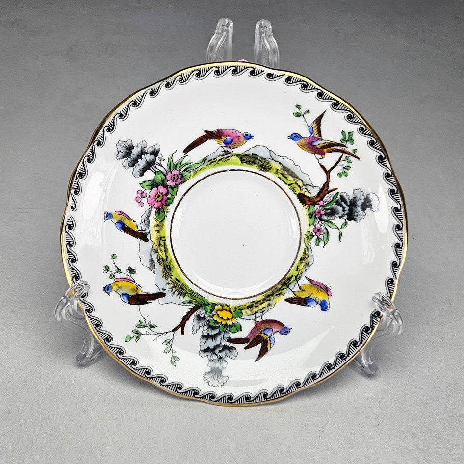 Royal Stafford saucer showing birds and black scroll border