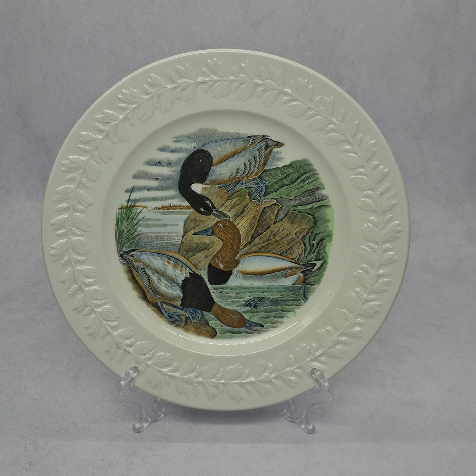 Adams England Birds of America Canvas Back Duck Display Plate