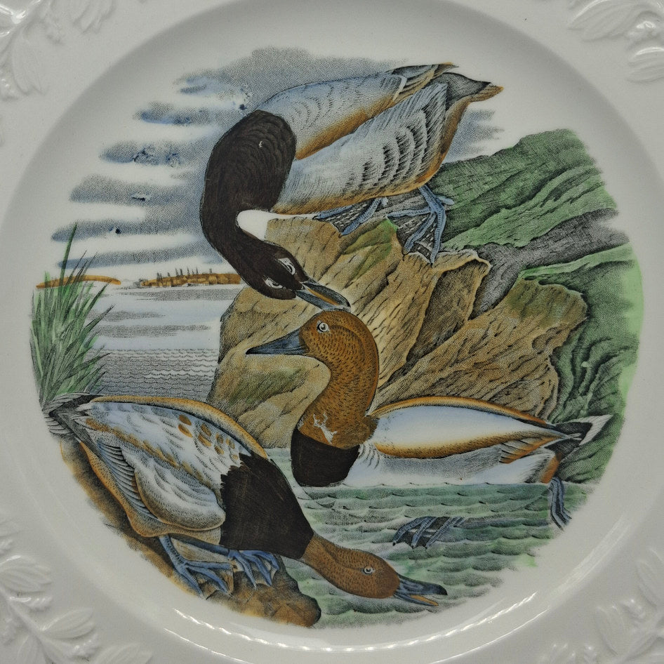 Adams England Birds of America Canvas Back Duck Display Plate