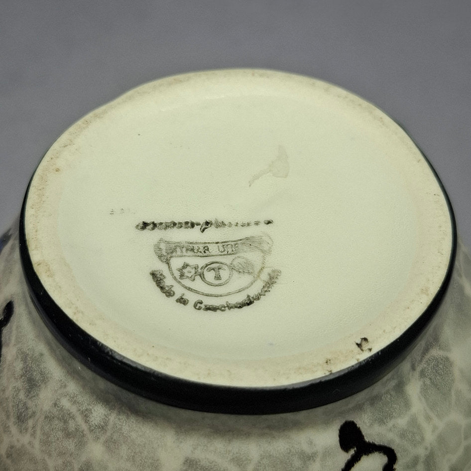 Vintage Ditmar Urbach Czechoslovakia Hand-Painted Floral Jug