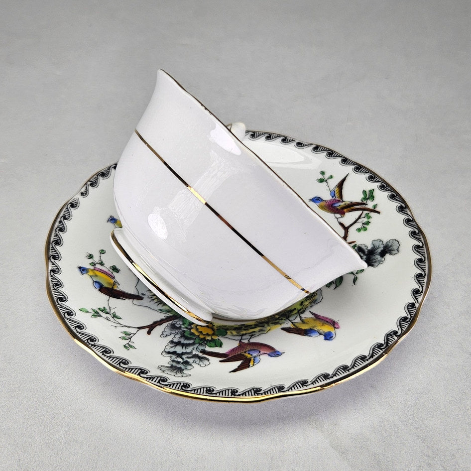Overhead view of Royal Stafford bird cup and saucer